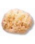 SUAVINEX ESPONJA NATURAL GRD