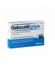 GELOCATIL GRIPE PSEUDOEFEDRINA 20 COMPRIMIDOS